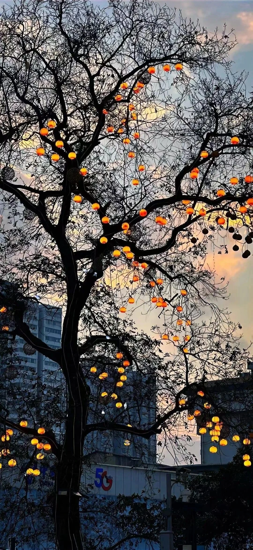 今日壁纸分享🌈ios26氛围感壁纸