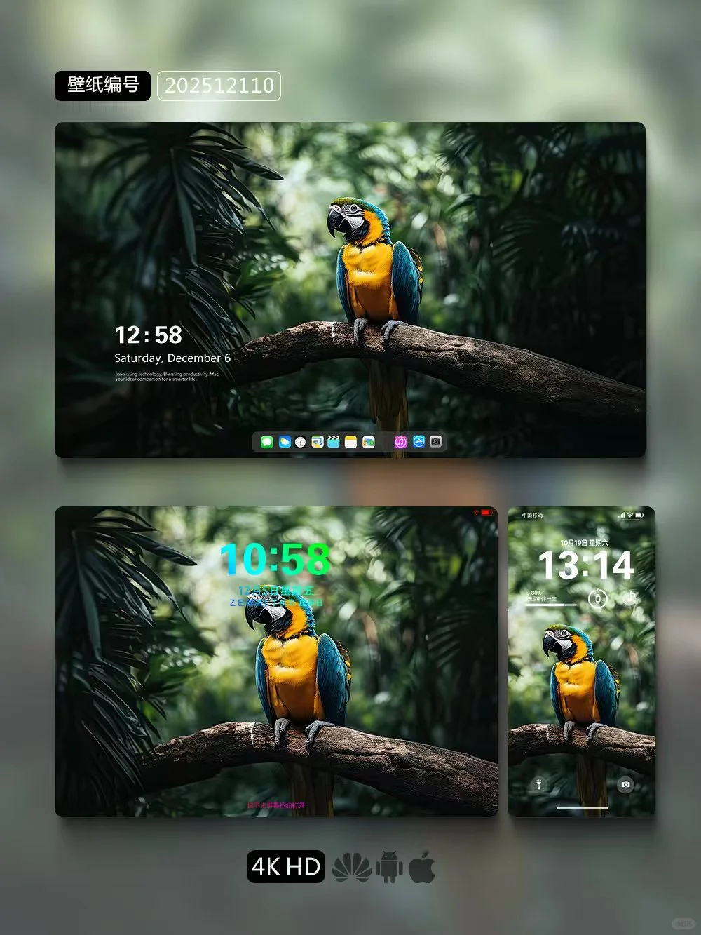 一套封神的鹦鹉壁纸多设备同步手机壁纸