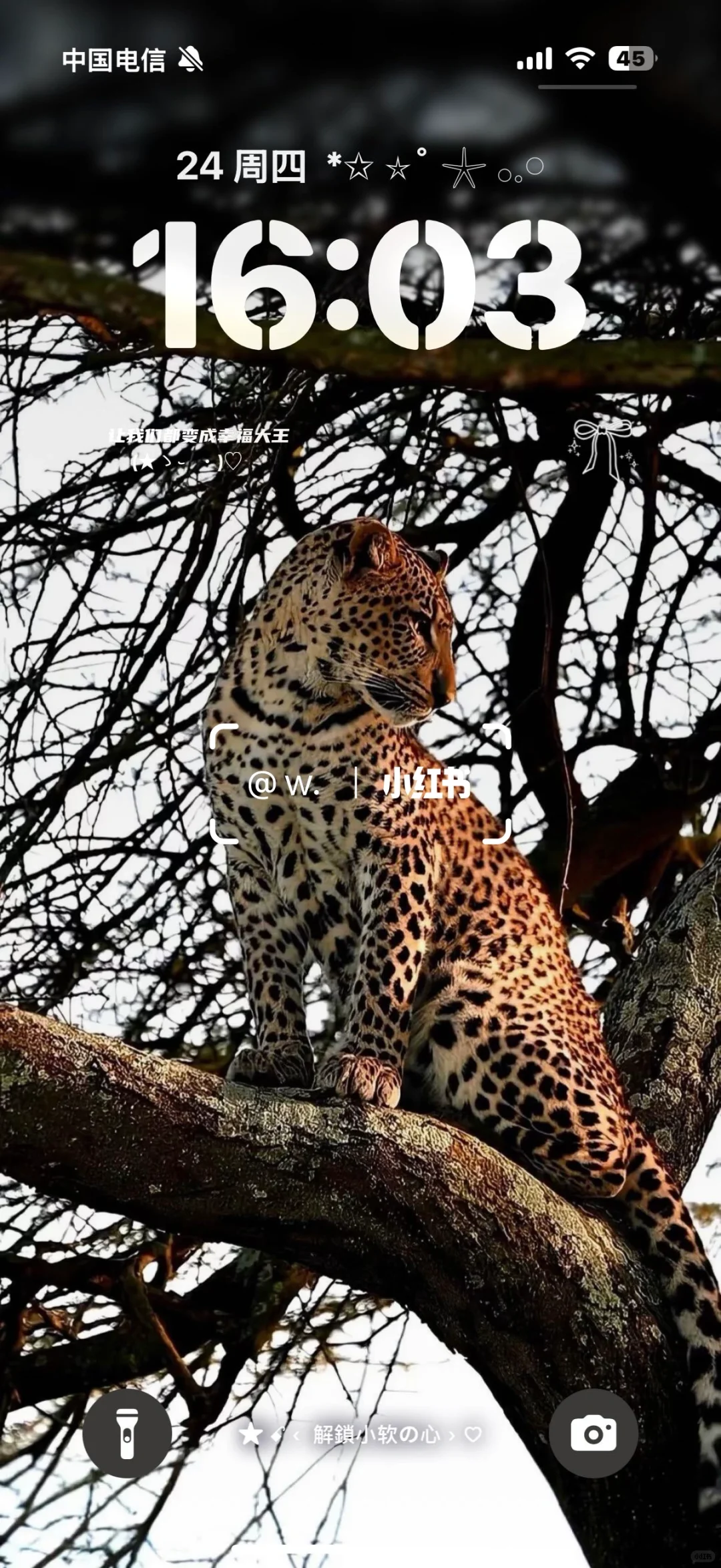 会呼吸的豹子，太帅了！😛