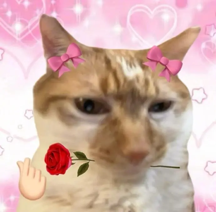 表情包 | 宝见，受你一靠子