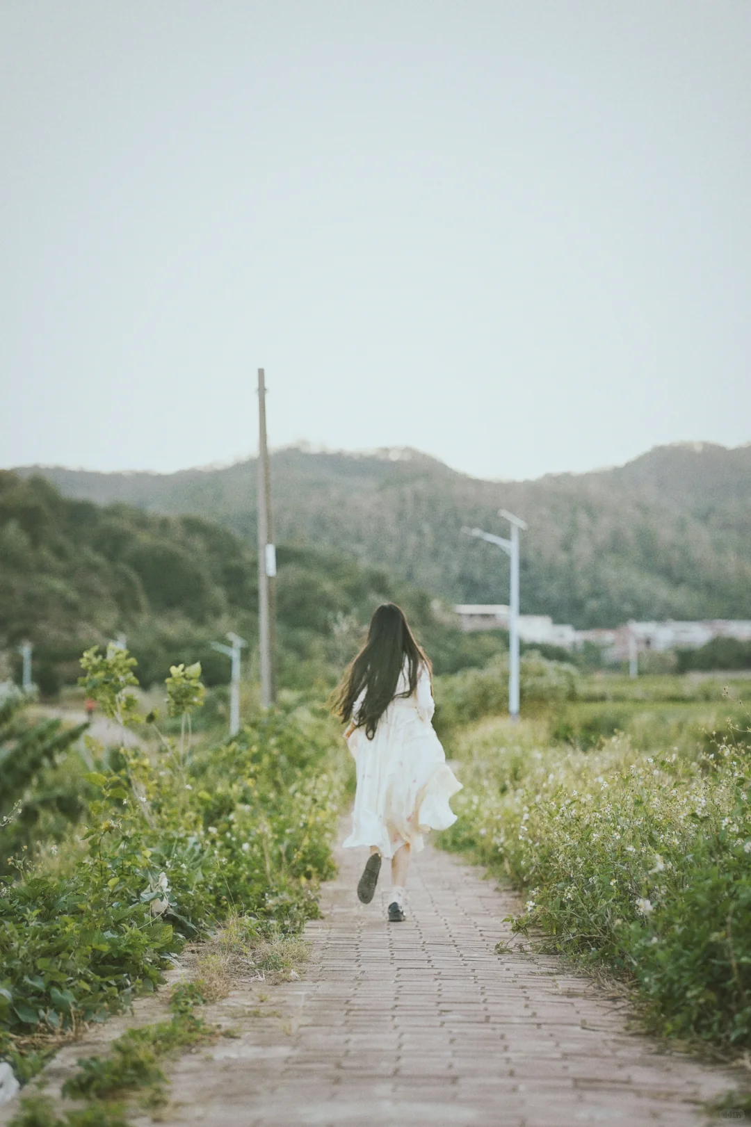 植物染｜我的“自我” 永远滋滋作响