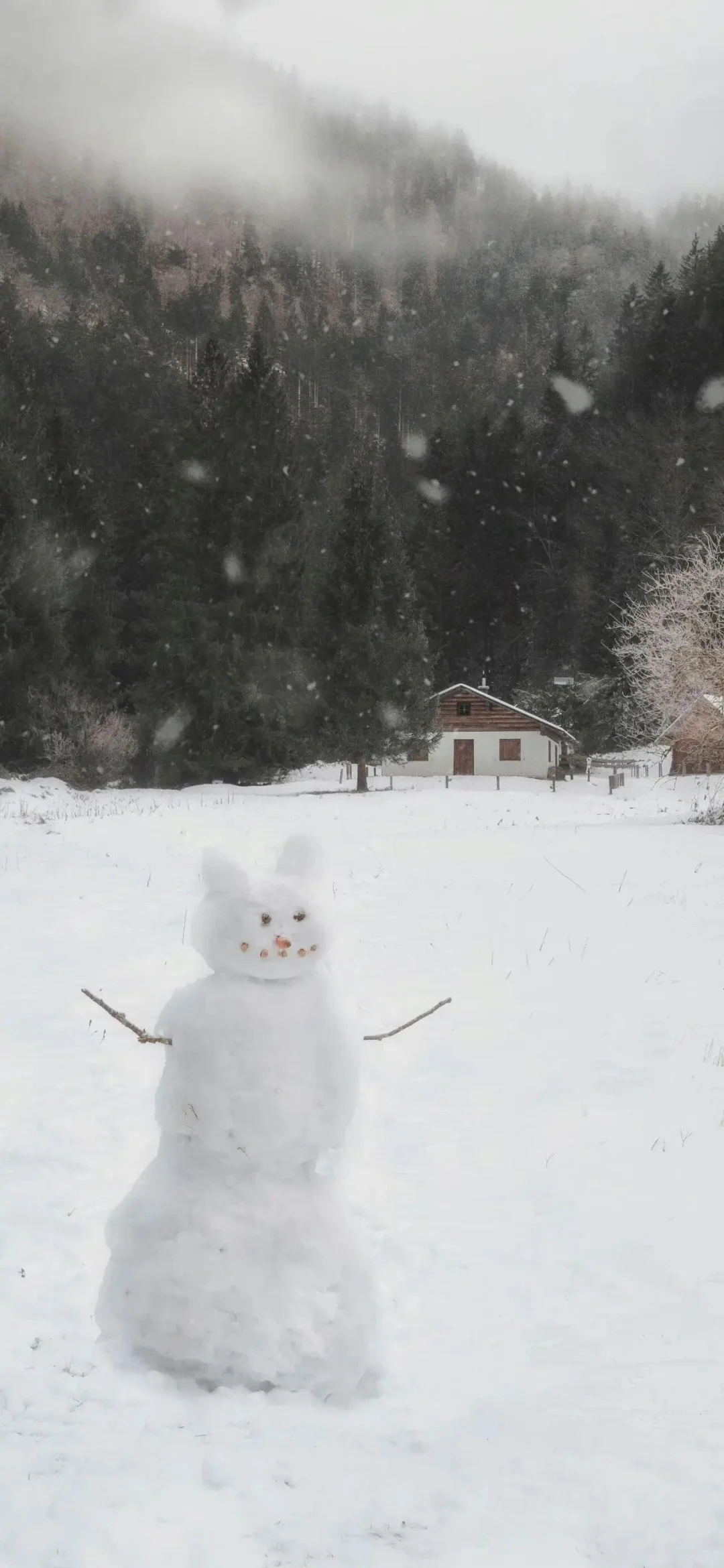 ins风小众氛围感壁纸分享❄