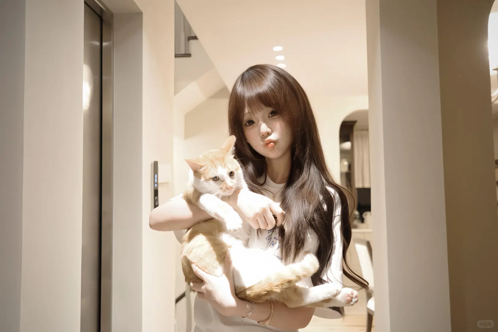 iPad壁纸｜每一张都很爱