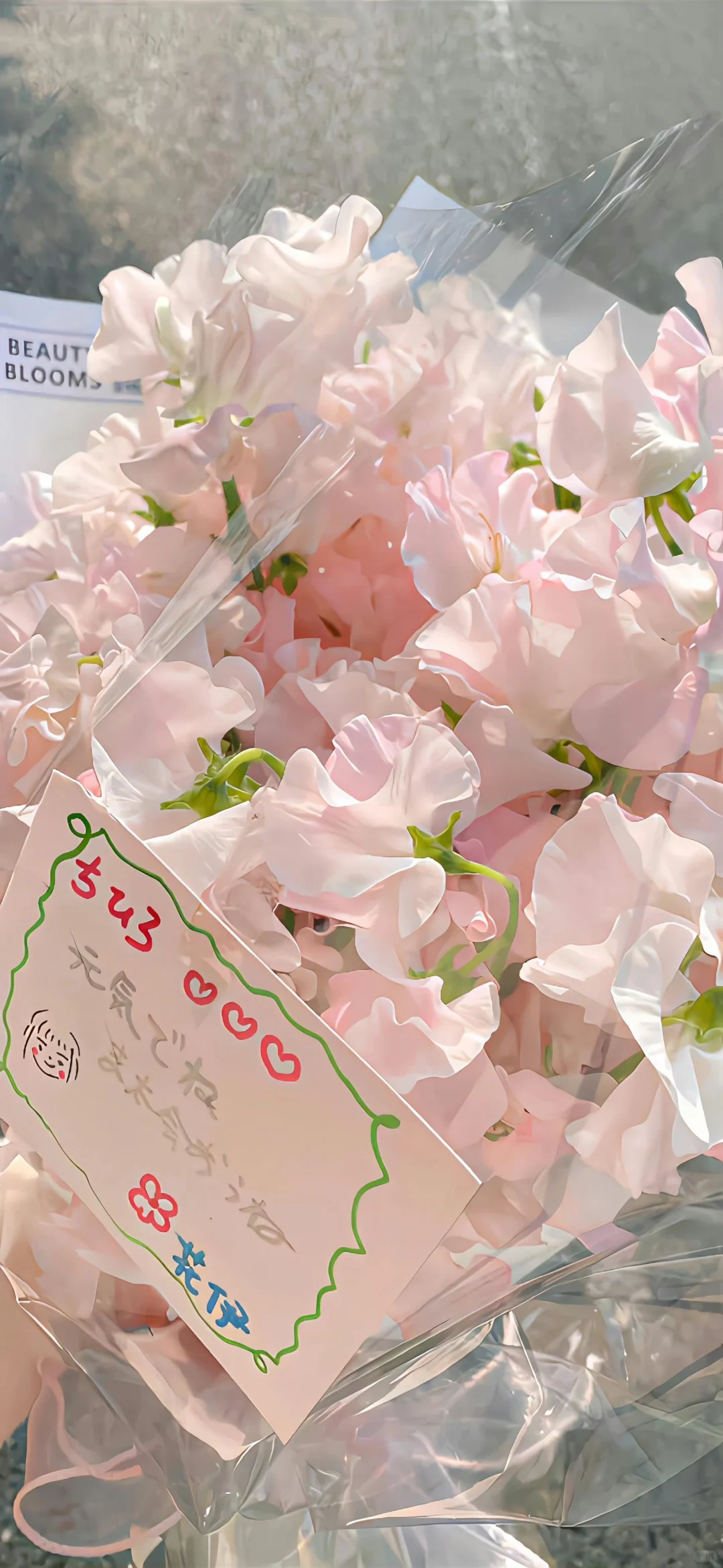 𝑺𝒉𝒂𝒓𝒆｜氛围感壁纸