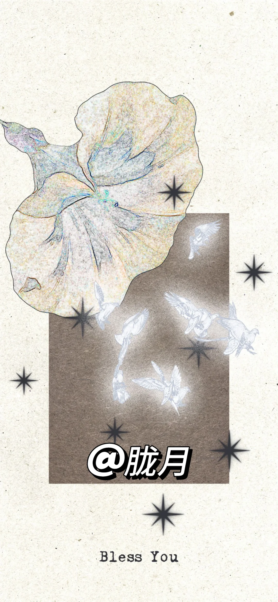 愿你思想如飞鸟