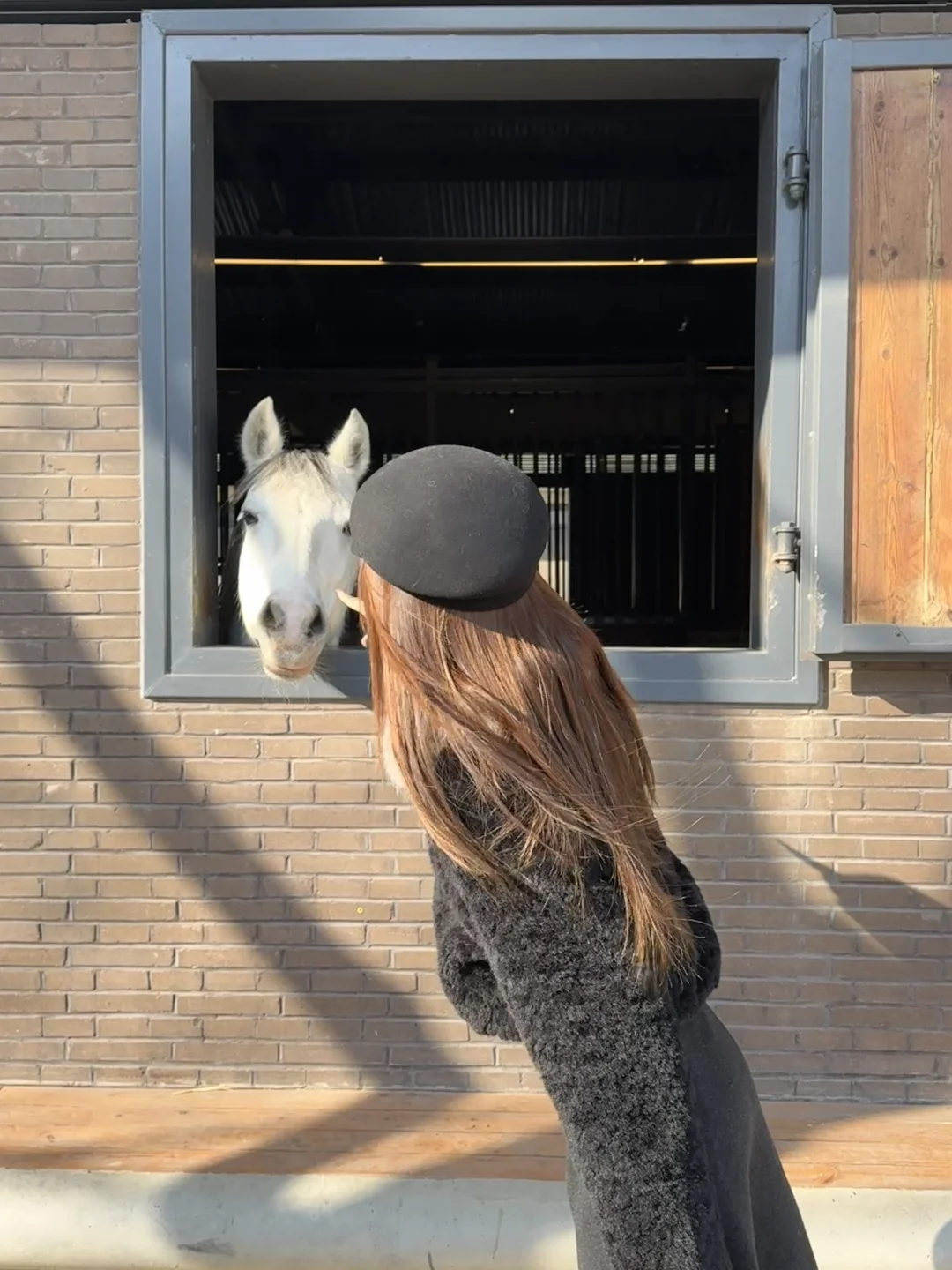 Aranya 冬日 海边🐚