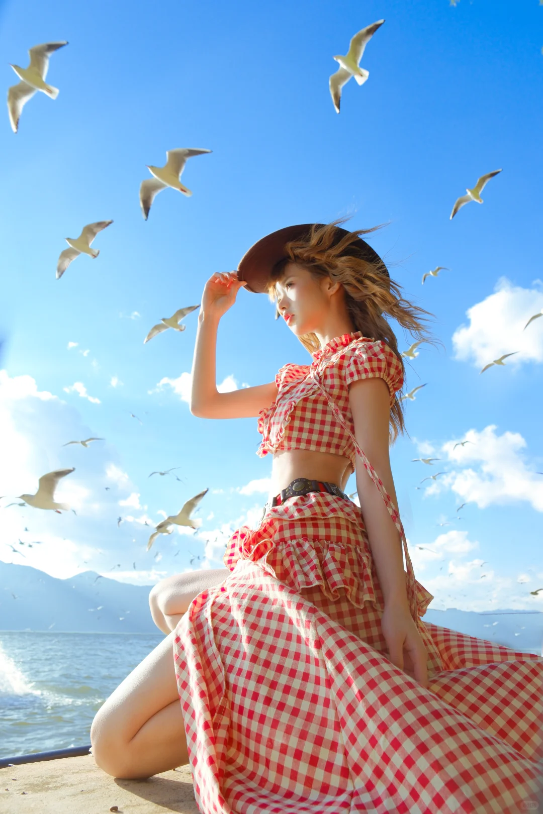 昆明海鸥 从不失约的白色天使🪽