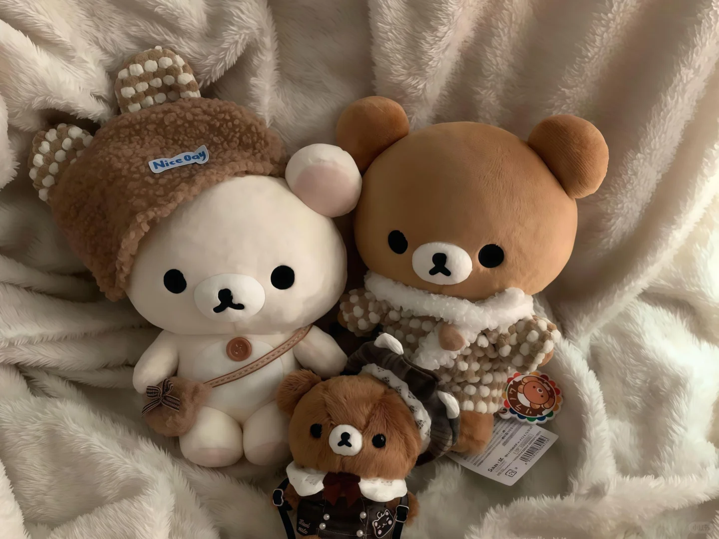 iPad壁纸｜轻松熊