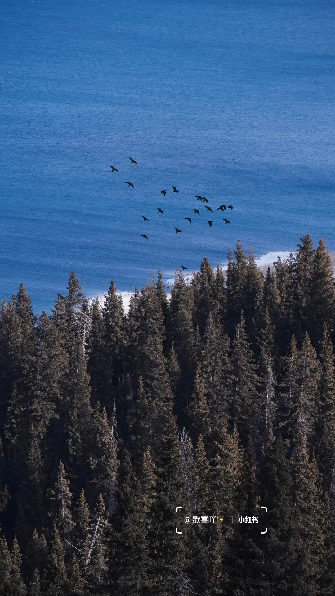 𝐖𝐚𝐥𝐥𝐚𝐩𝐚𝐩𝐞𝐫｜ins风壁纸