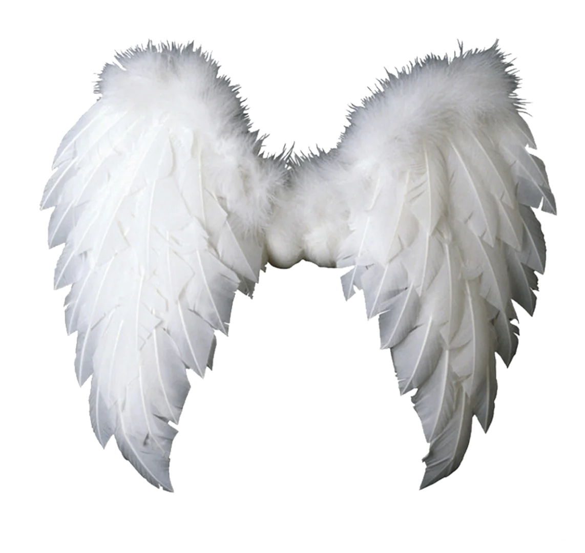 特效素材｜白色翅膀羽毛天使png后期贴图