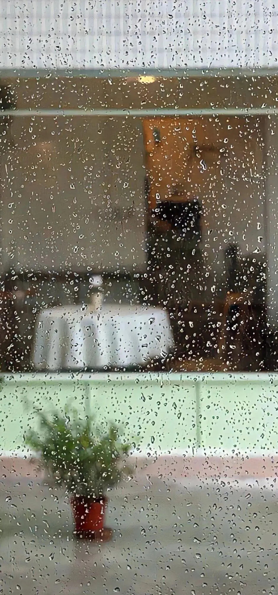 𝐒𝐡𝐚𝐫𝐞丨ins壁纸