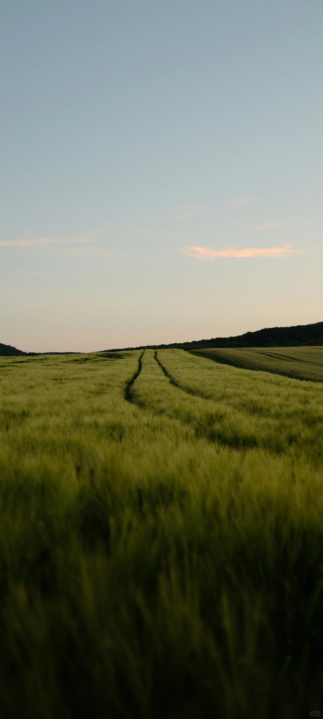 氛围感拉满！解锁手机桌面的高级松弛感！！