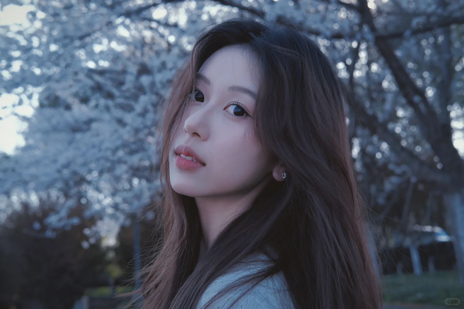 不必因为自己长得不够网感而自卑🦋