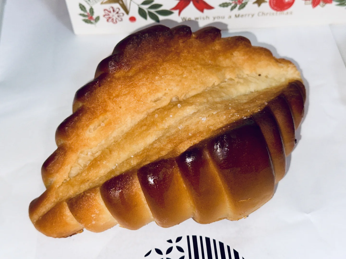 back to December[Fascino]