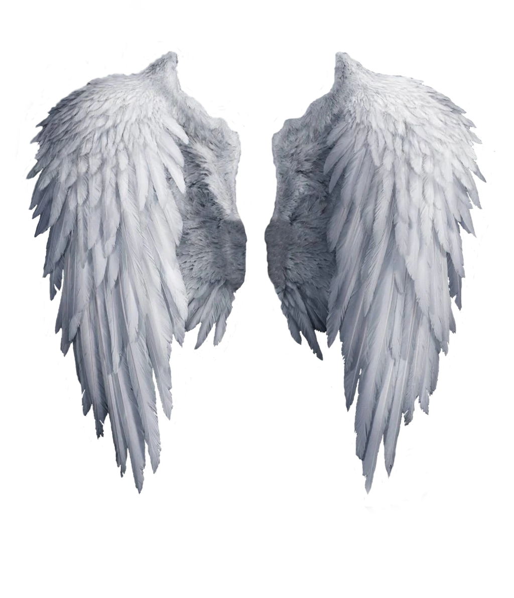 特效素材｜白色翅膀羽毛天使png后期贴图
