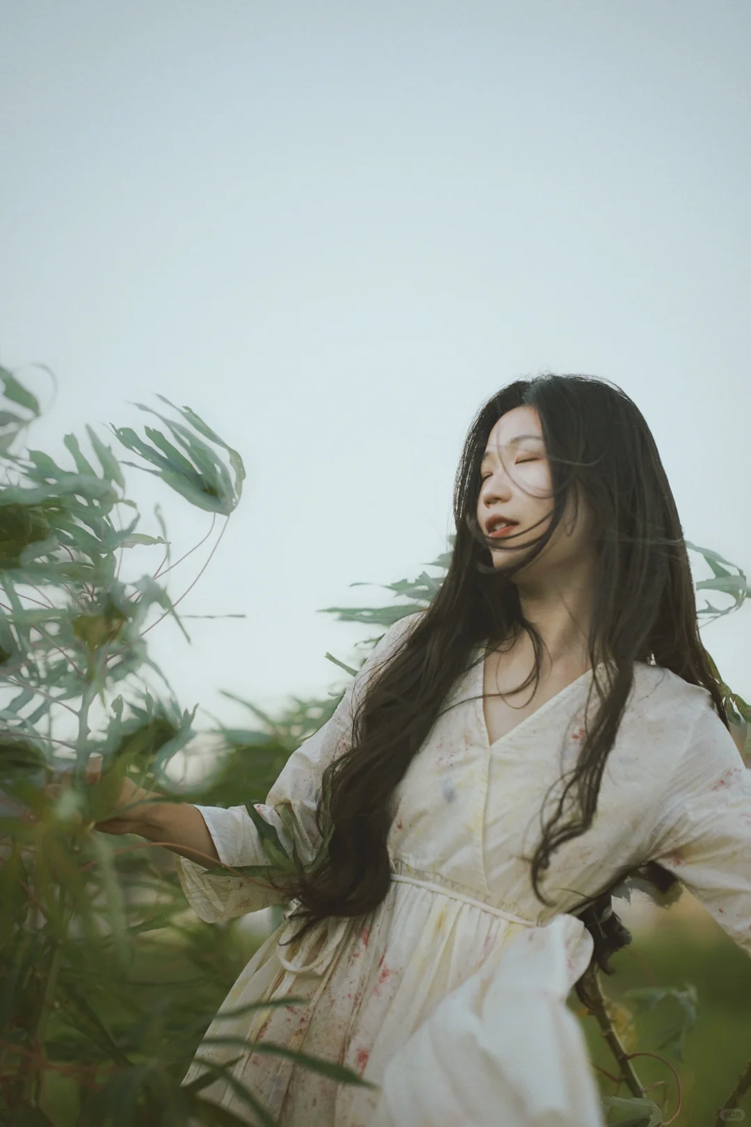 植物染｜我的“自我” 永远滋滋作响