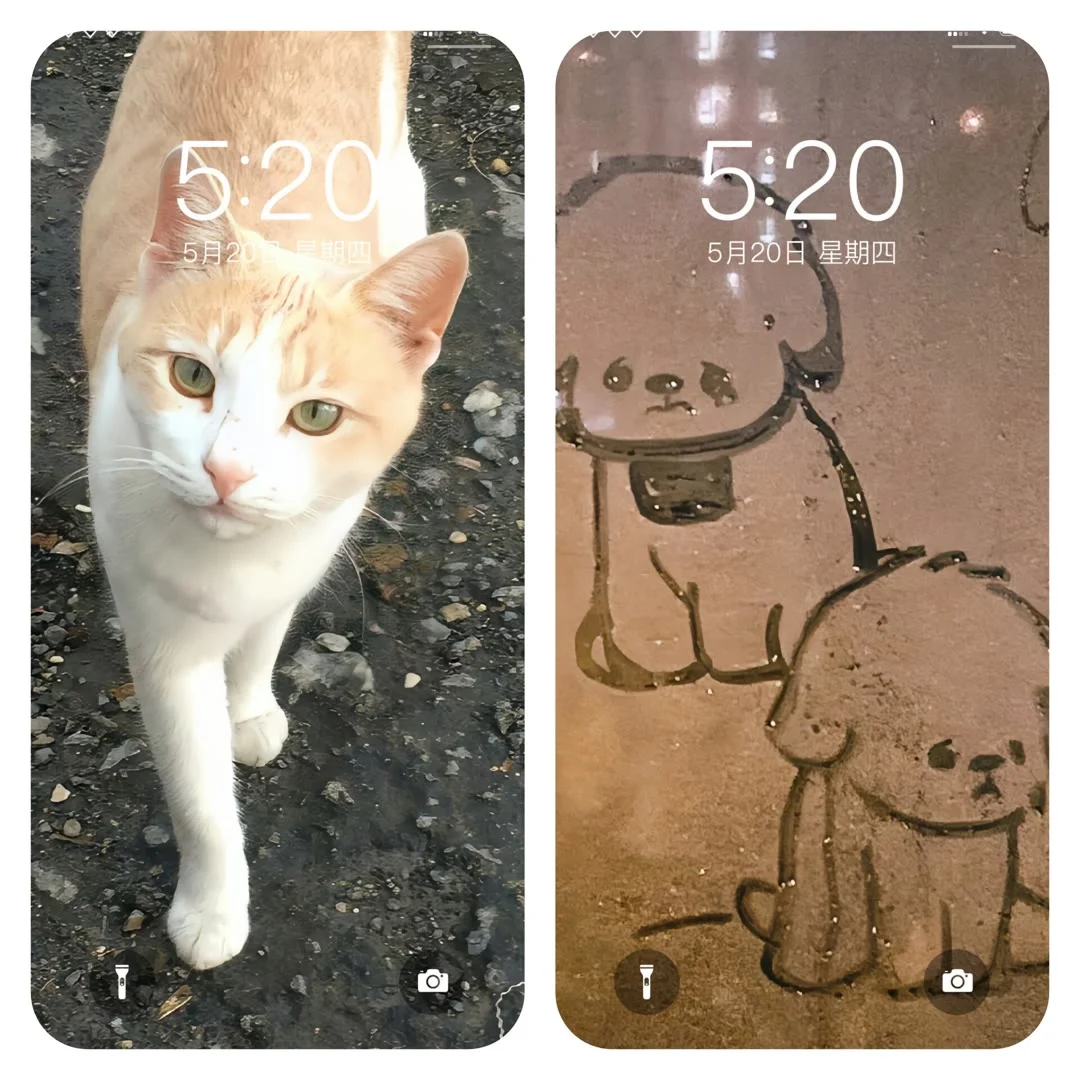 今天也是美好的一天