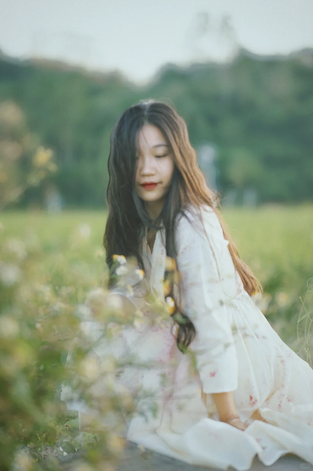 植物染｜我的“自我” 永远滋滋作响