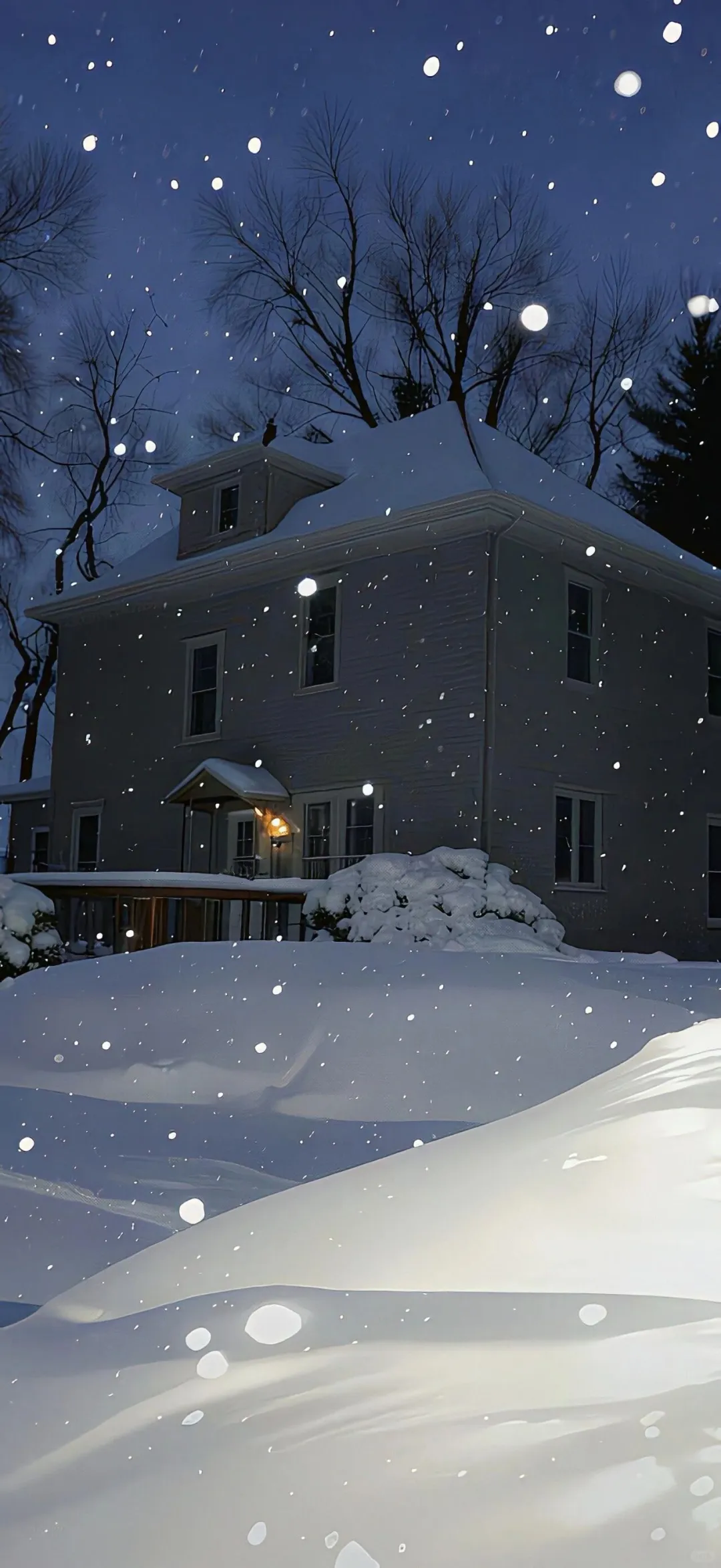 每日壁纸｜🐶🐶🐶