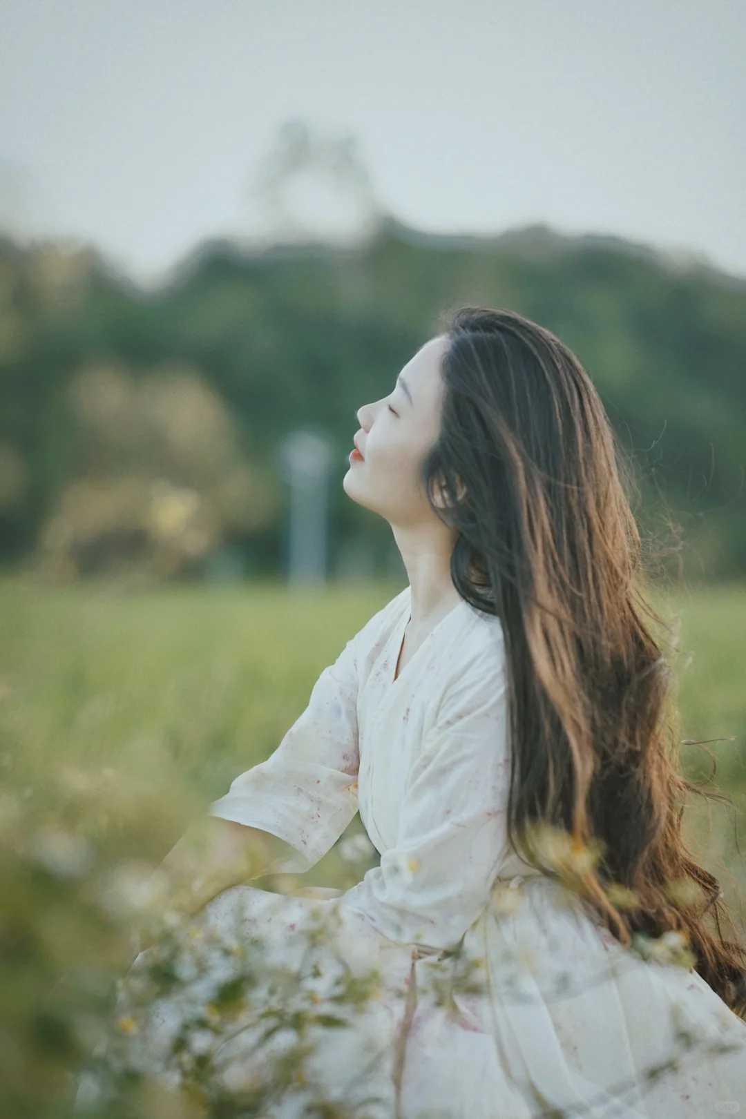 植物染｜我的“自我” 永远滋滋作响