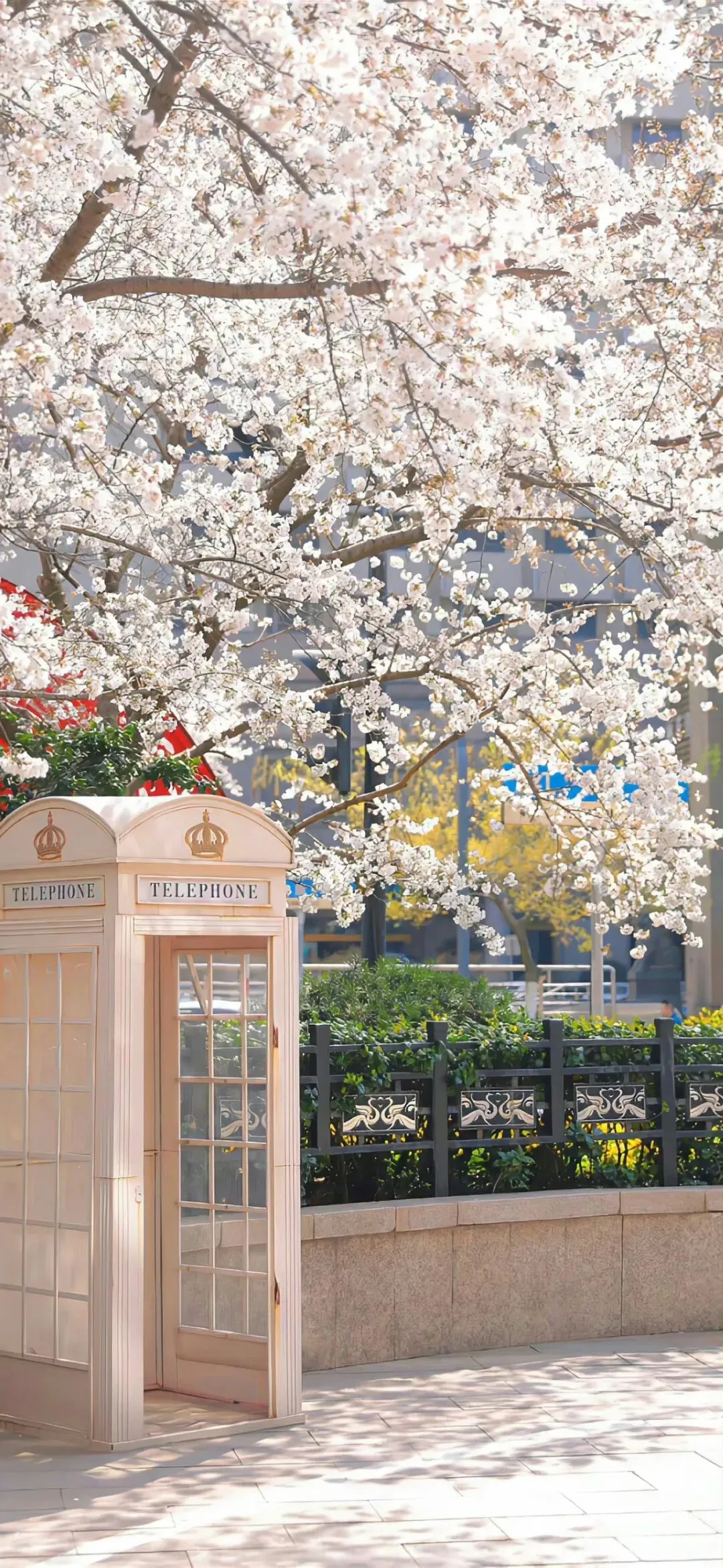 多元治愈系高清壁纸分享