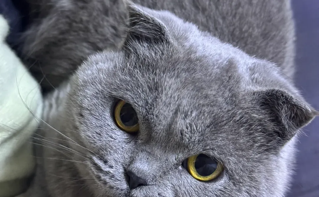 今年的泳就游到这了