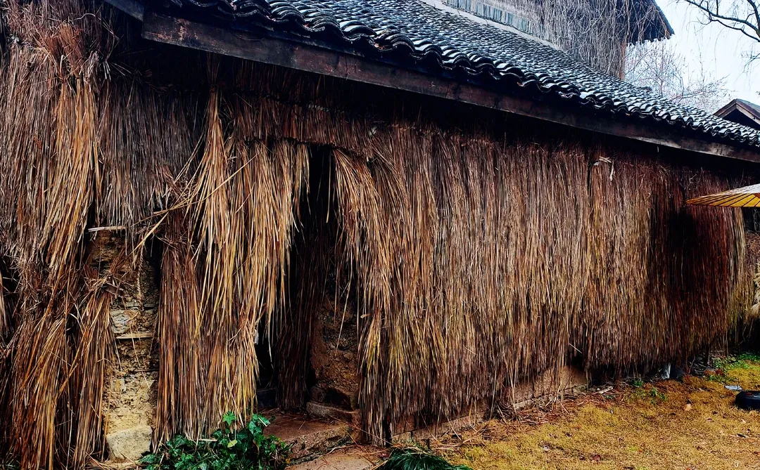 大叔说（有帝王气的女人，自带吸贵人体质）