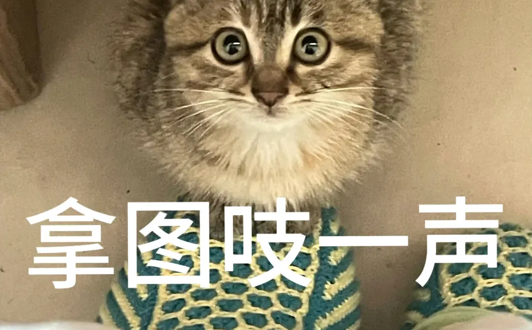 放弃和等待是一样的