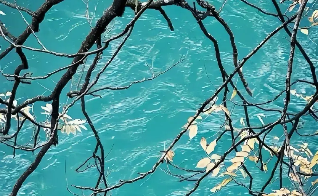 𝐒𝐡𝐚𝐫𝐞丨ins壁纸