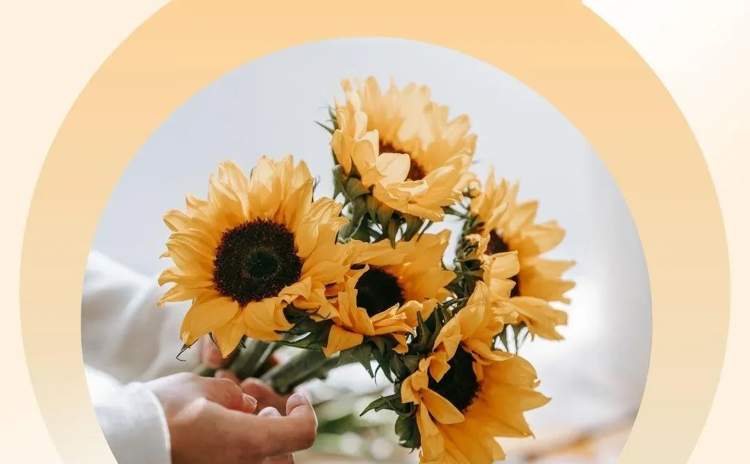 12月9日，带日期的早安图片，星期二早安