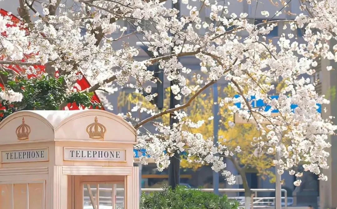 多元治愈系高清壁纸分享