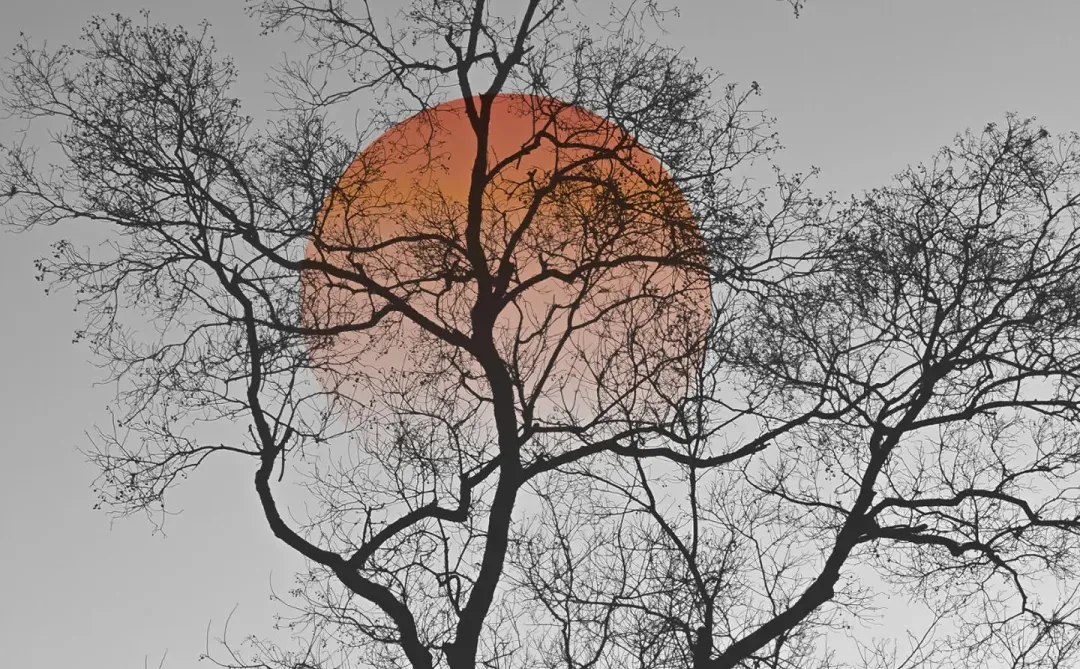 𝐖𝐚𝐥𝐥𝐚𝐩𝐚𝐩𝐞𝐫｜ins风壁纸