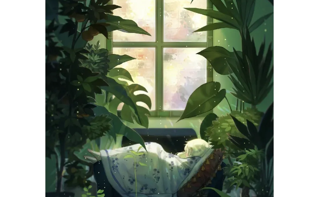 清晨温暖壁纸背景桌面美图