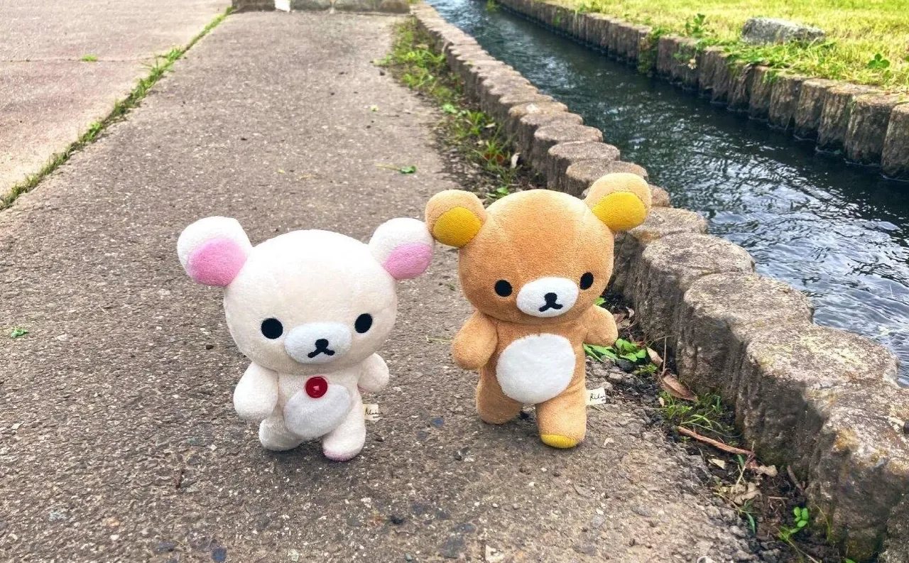 iPad壁纸｜轻松熊