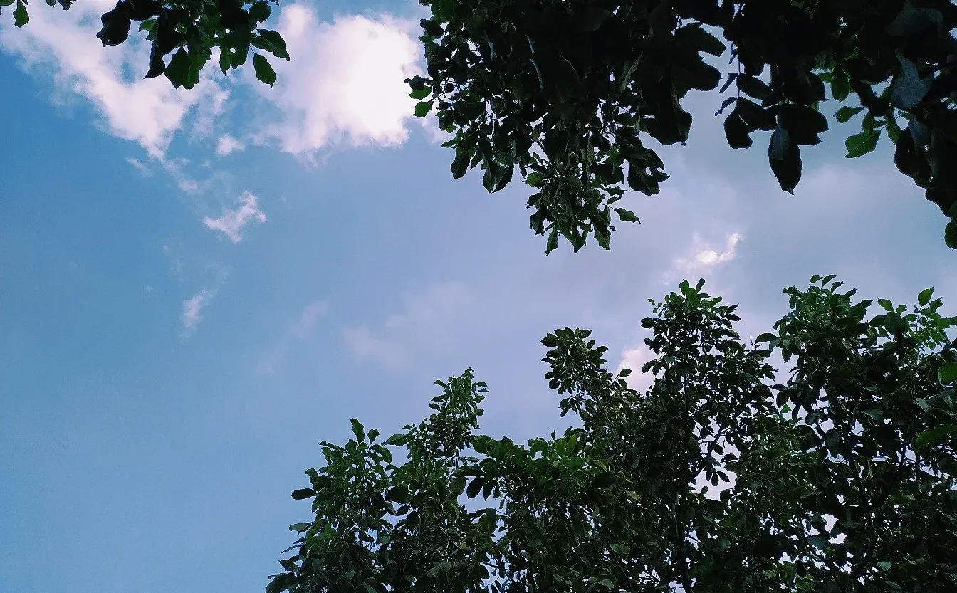 高清壁纸‖happy days