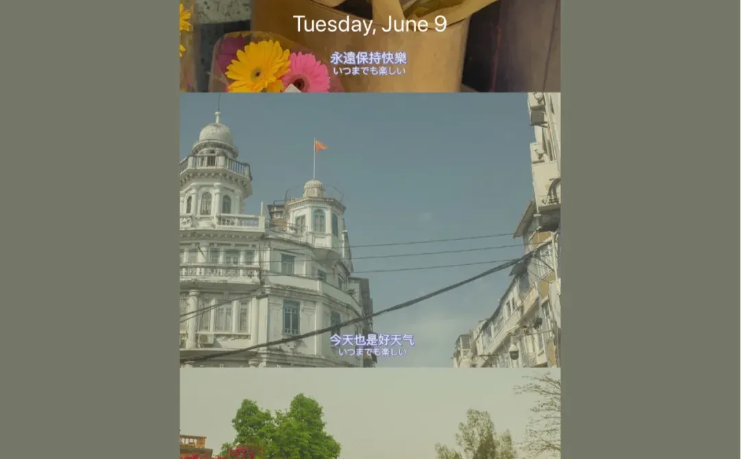 Joan私藏手机壁纸分享｜『第6期』