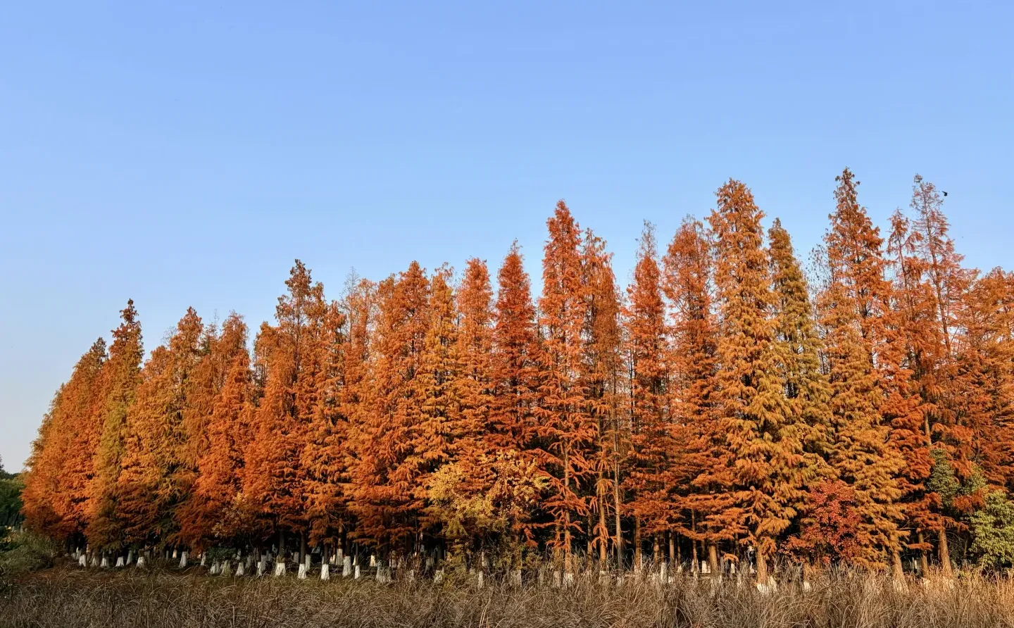 好喜欢我的下颚骨