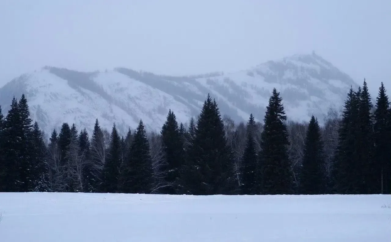 iPad/电脑横屏壁纸❄️