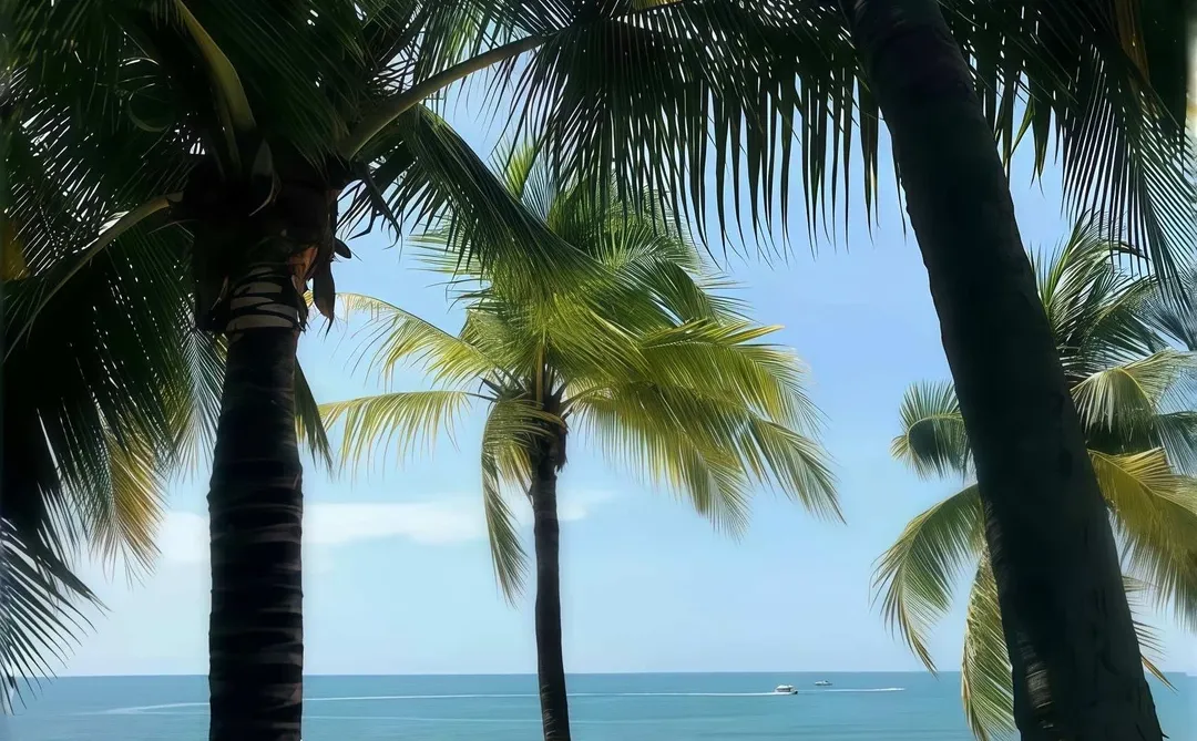 壁纸｜冬天的浪漫❄️