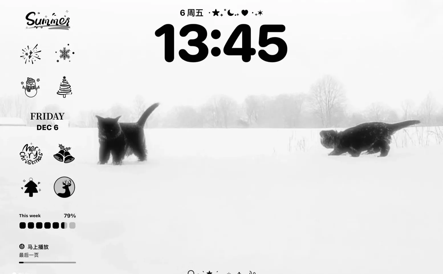 A cat in the snow❄️丨壁纸