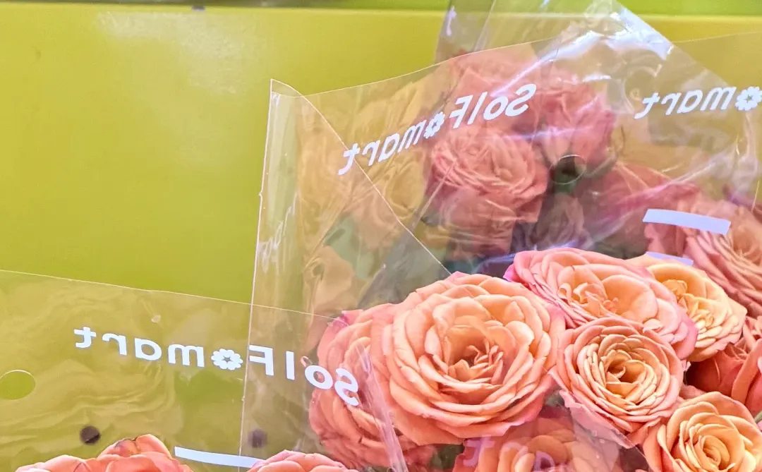 原创的宝藏iOS 26壁纸 第一弹