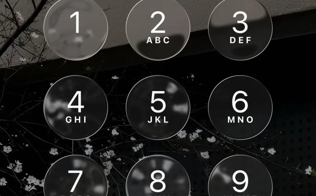 🖤悠闲时光赏樱🌸手机壁纸