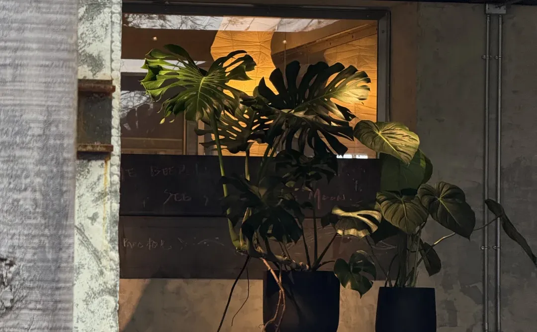 做个很哇噻的中年少女💙