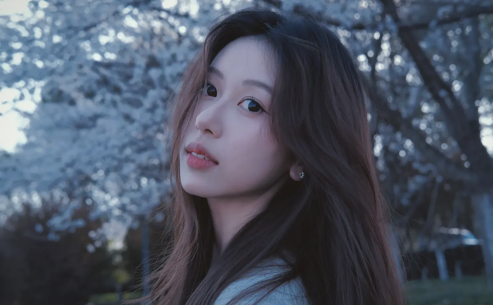 不必因为自己长得不够网感而自卑🦋