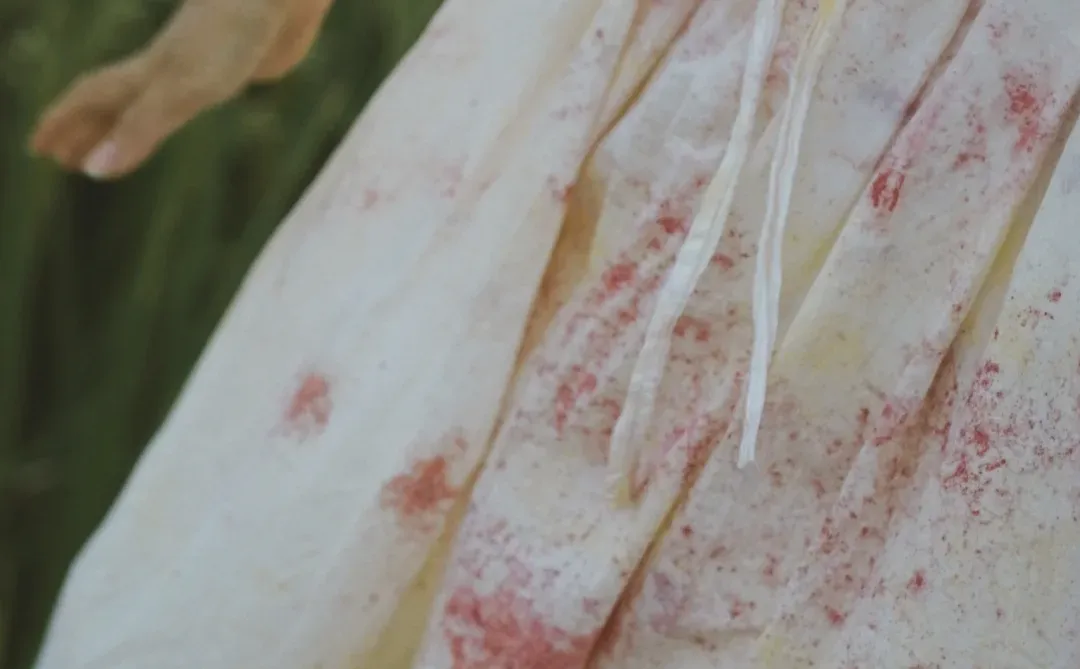 植物染｜我的“自我” 永远滋滋作响