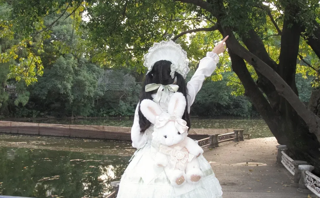 圣诞g若草，在湖边拍的，好美