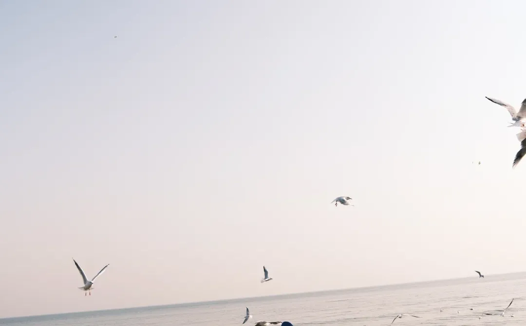 我在阿那亚过生日啦🍰