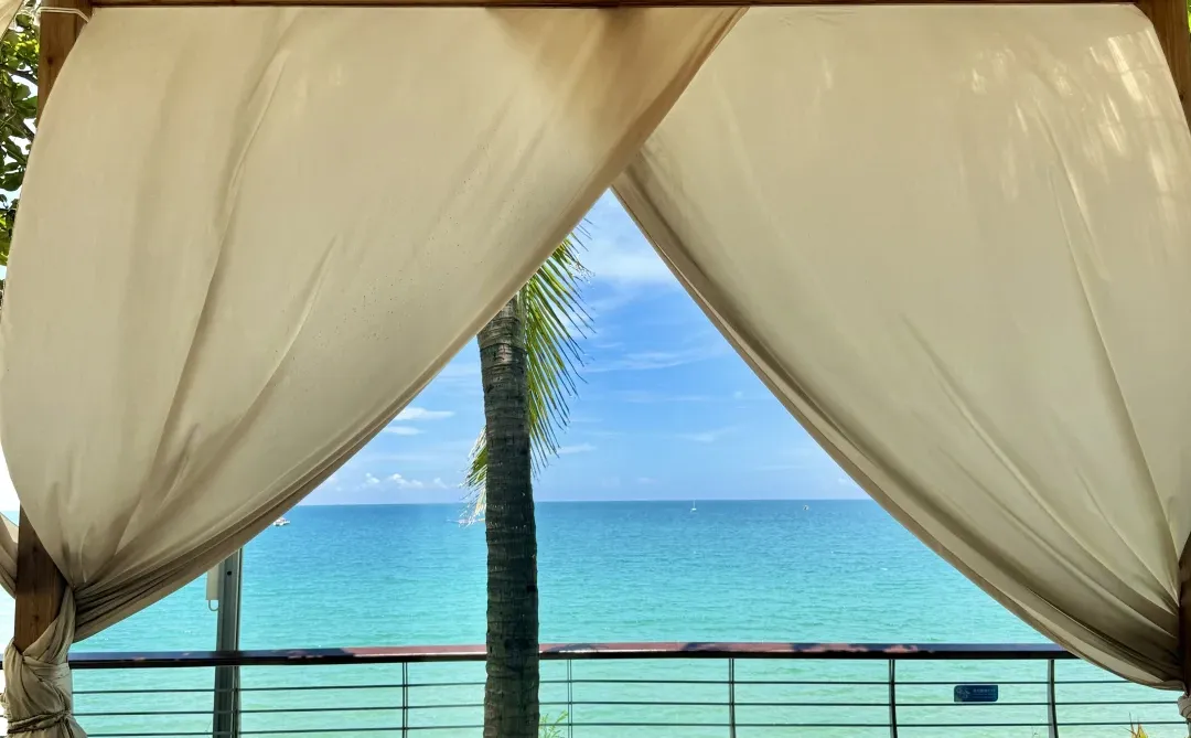 吹海边的风～🥥