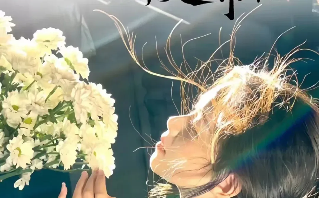 壁纸|人生何求有钱自由