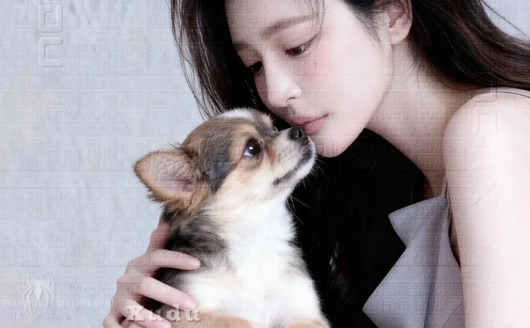 可断 清冷御姐女头3张